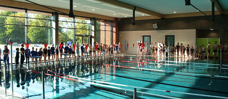 SCHWIMMEN IM VEREIN
