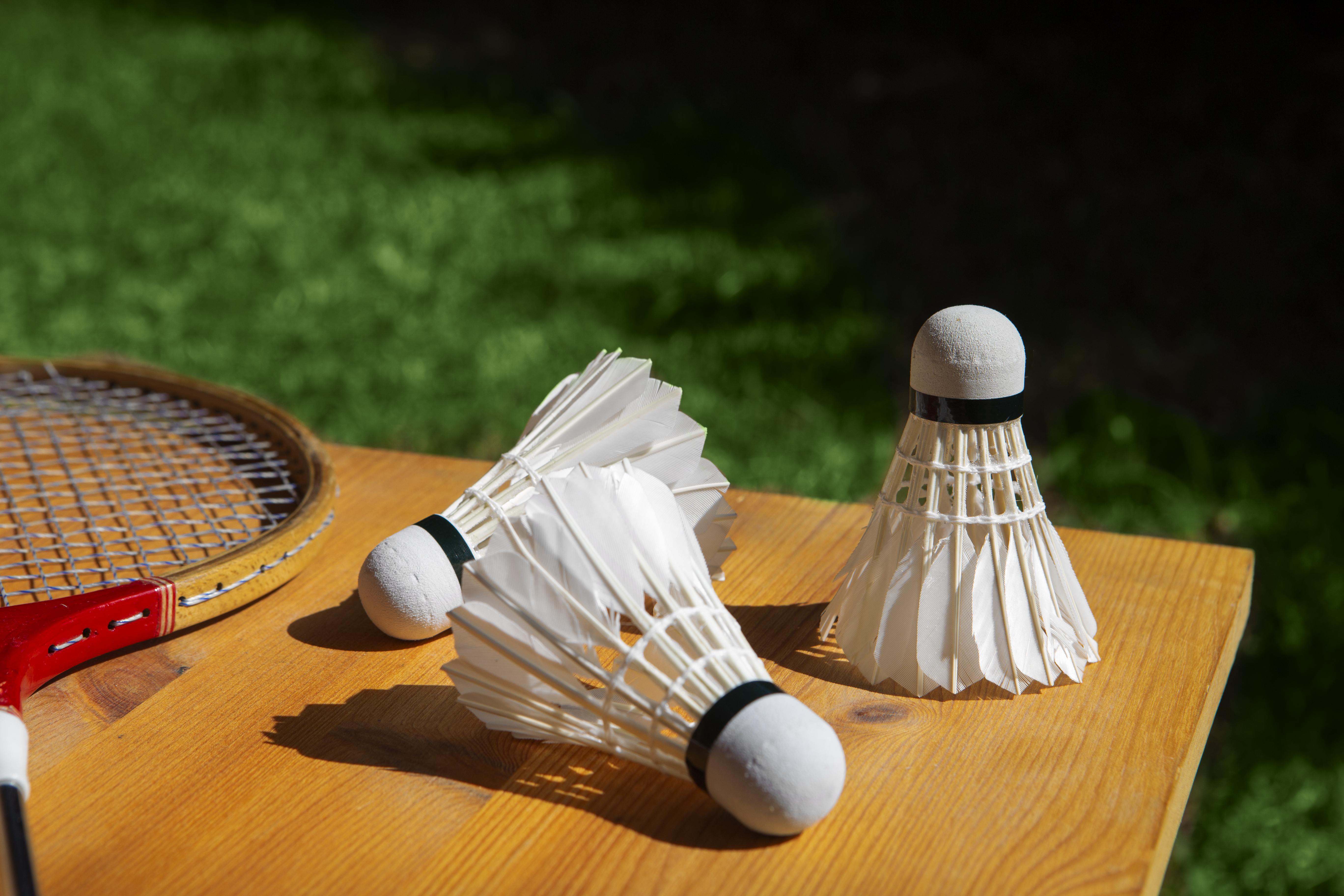 Badminton